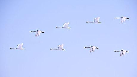 《漫威蜘蛛侠2》PS5 Pro画质模式无法维持60FPS